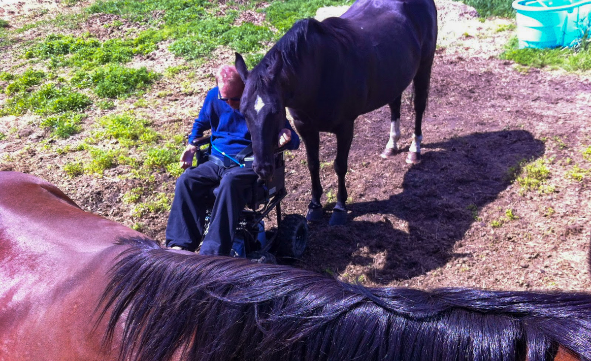 Horses feel comfortable when Kary Wright sits with his back to them.
